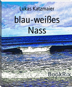 cover blau-weißes Nass.php.png